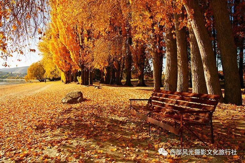 吃星星的恐龙男孩