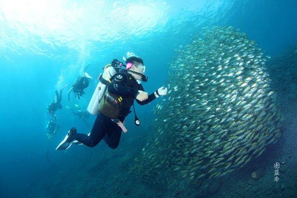 萌新水果连连看