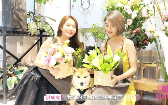 生化危机：浣熊市行动