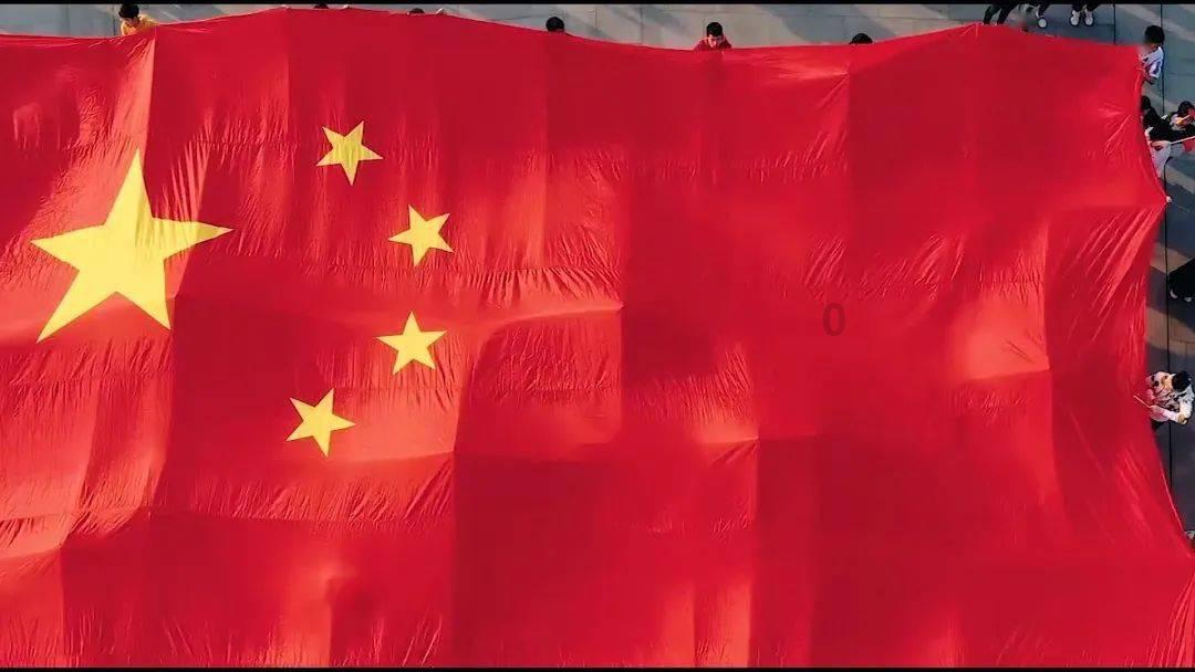 植物大战僵尸5